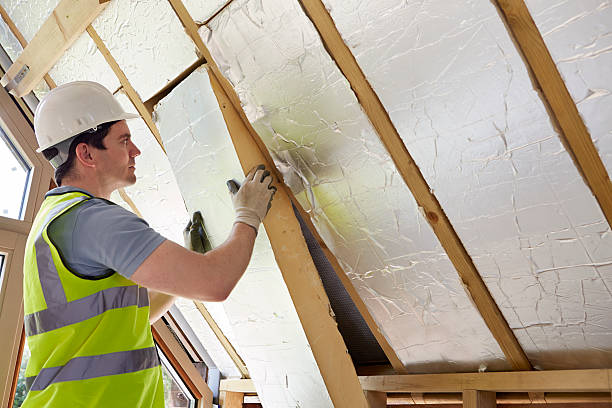 Best DIY Insulation Kits and Guidance in Niverville, NY